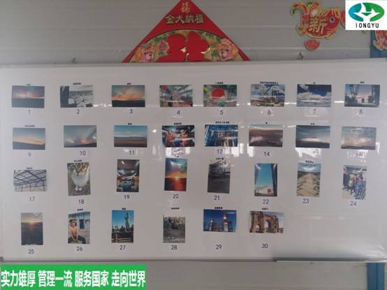 //ddbf.cn/UploadFile/20180308023939206.jpg